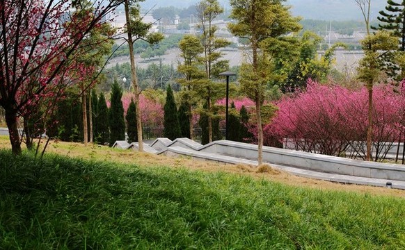 冬季城市園林