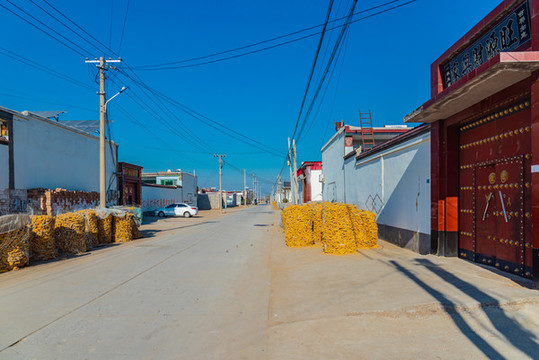 北方农村堆放在路边的玉米