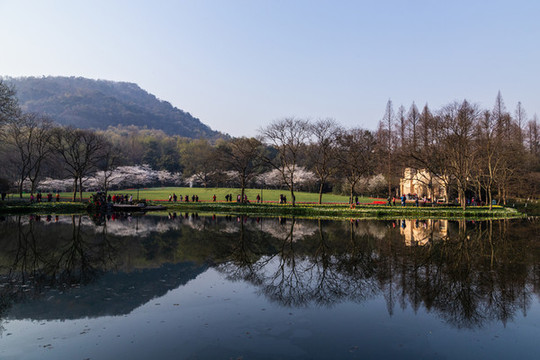 杭州太子灣公園春色