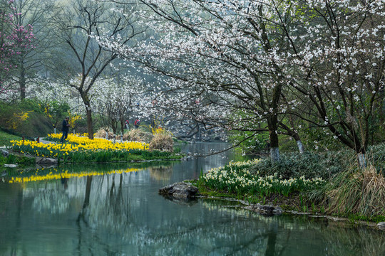 杭州太子灣公園春色