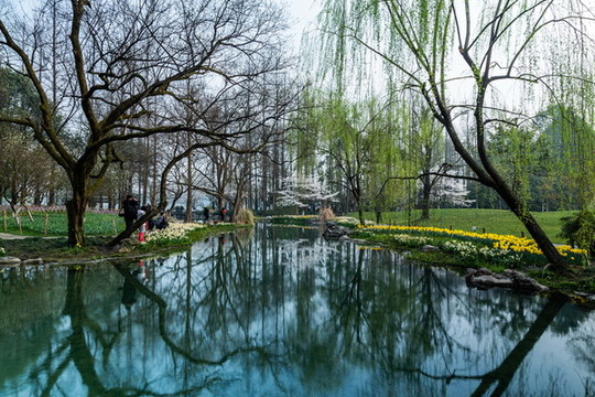 杭州太子灣公園春色