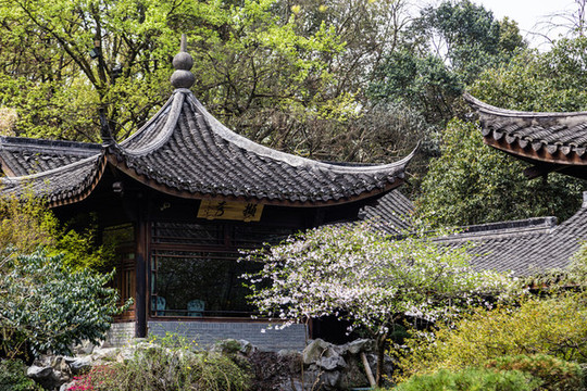 杭州花港觀魚公園春色