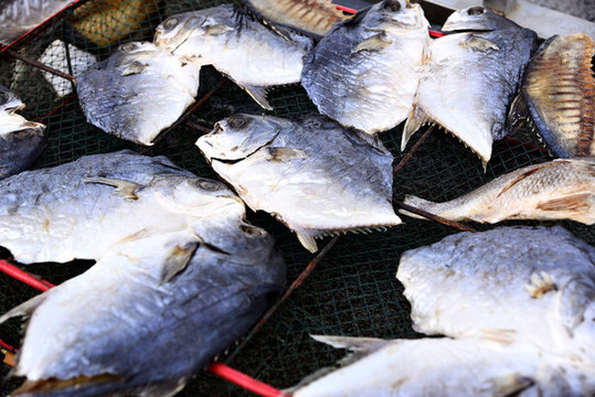 制作金鯧魚(yú)干