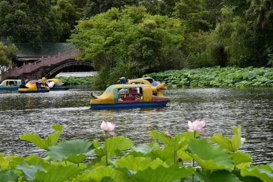 水上公園