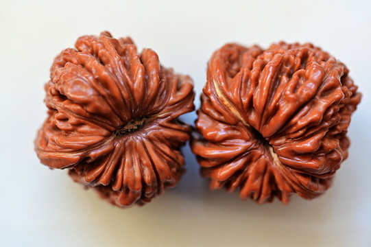 文玩核桃