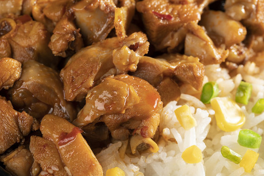 雞肉拌飯