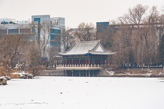降雪過后的城市公園
