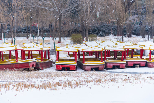 降雪過后的城市公園