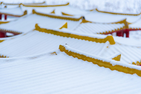 降雪過后的城市公園