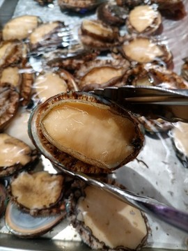 鮑魚(yú)