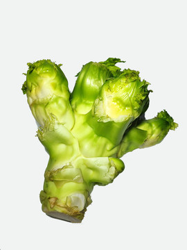 兒菜