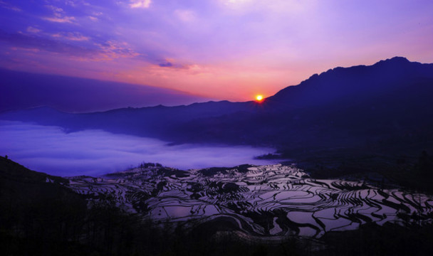 元陽梯田
