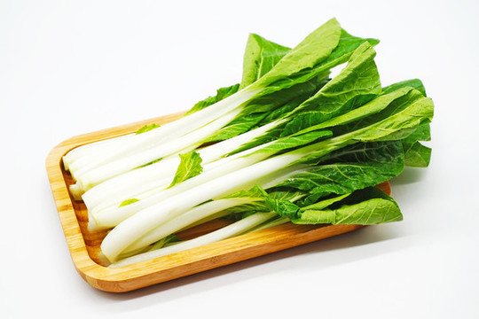 白色背景新鮮小白菜特寫