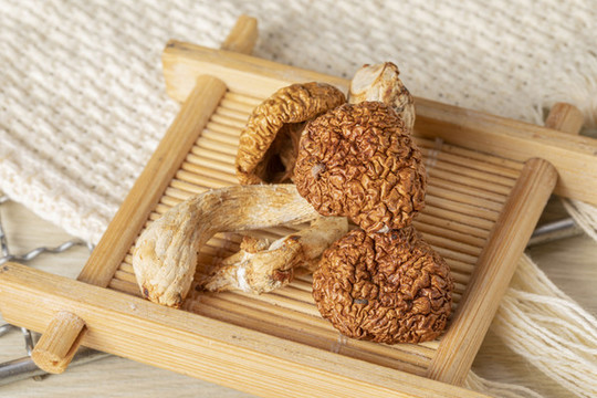 滑子菇