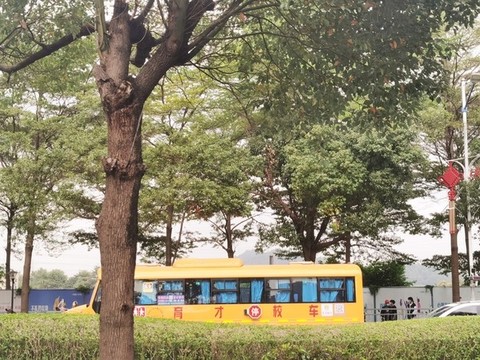 校車