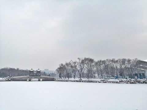雪景