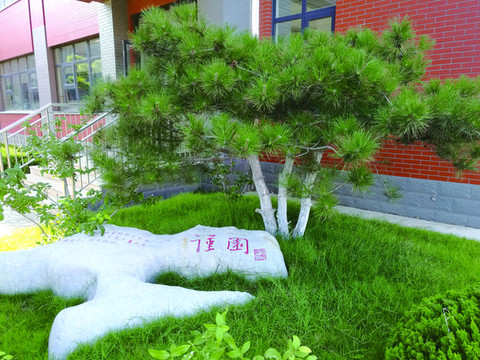 樹