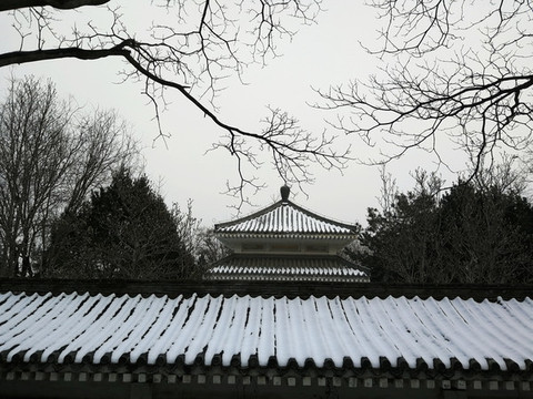 百望山參林公園