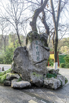 龍井問茶