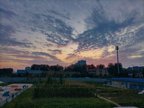 夕陽