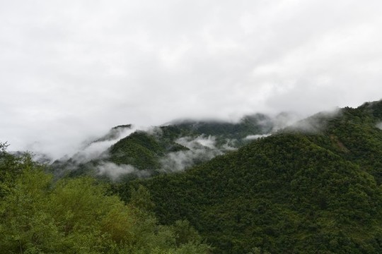 云海晨霧