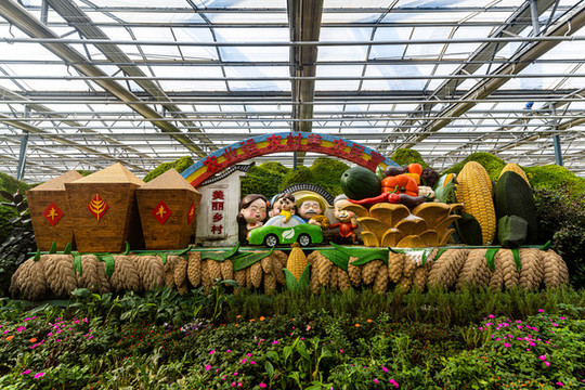 長(zhǎng)春冬季農(nóng)博會(huì)植物展區(qū)場(chǎng)景