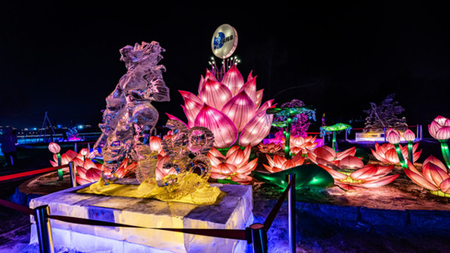 長(zhǎng)春南湖公園冰雪燈光展夜景