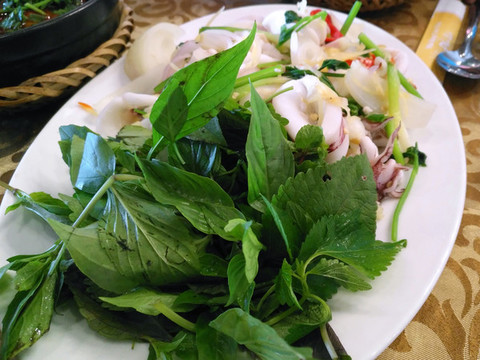 越南美食炒魷魚