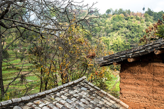 云南農(nóng)村生活