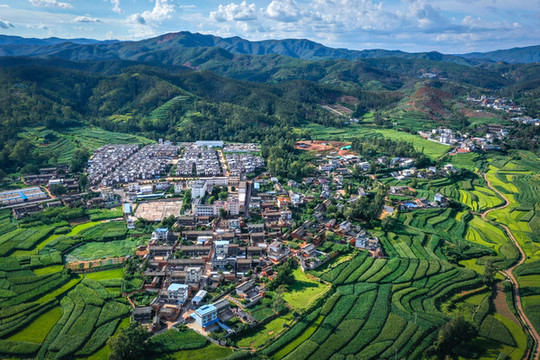 夏天風(fēng)光
