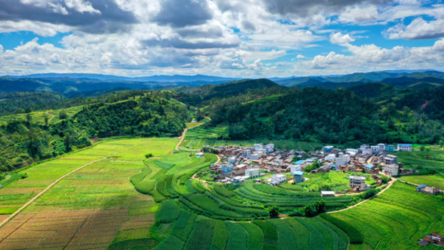 秋霧朝霞
