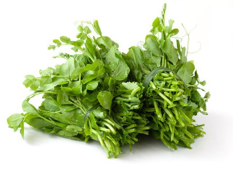 綠色的蔬菜豌豆尖