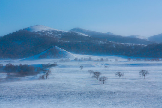 雪景