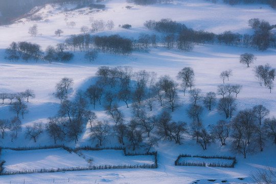 雪景
