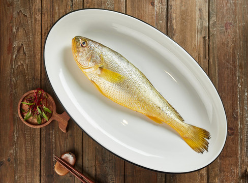 野生黃魚