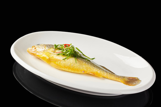 野生小黃魚
