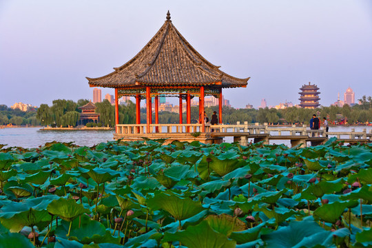 大明湖