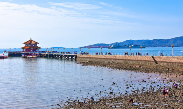 青島