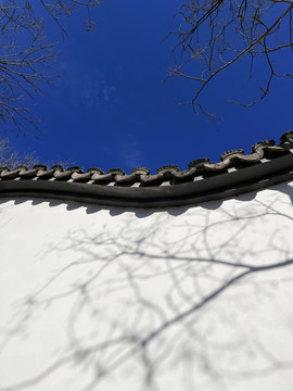 園林與天空