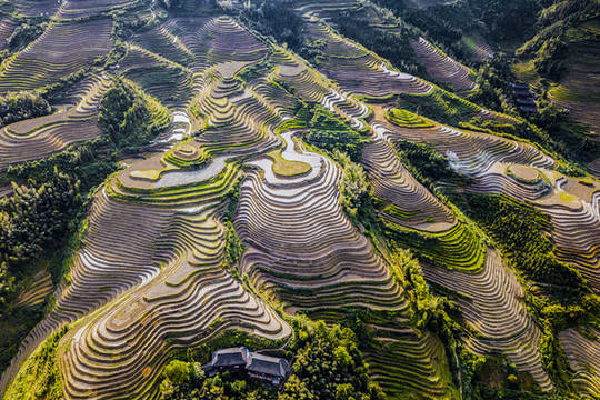 元陽梯田