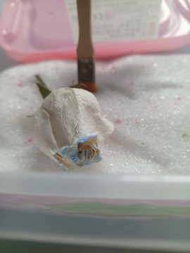 干花