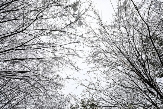 鄉(xiāng)間雪韻別樣美