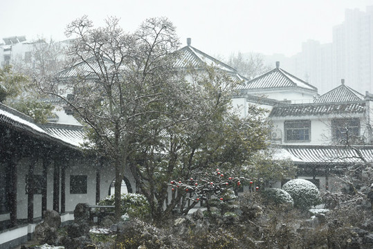 江蘇淮安古典園林清晏園