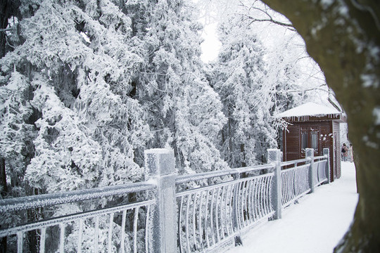 廬山雪景