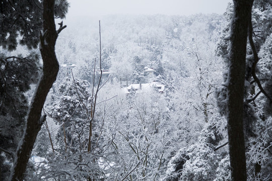 廬山雪景