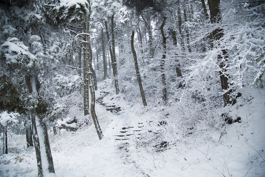 廬山雪景