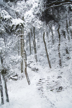 廬山雪景