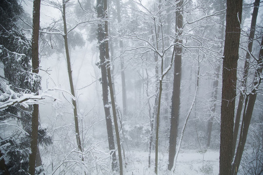 廬山雪景