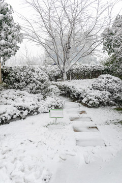 雪景