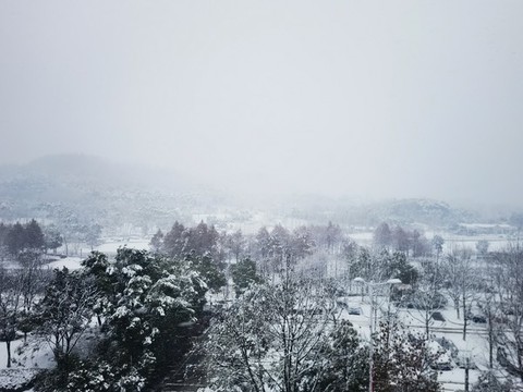 江南雪
